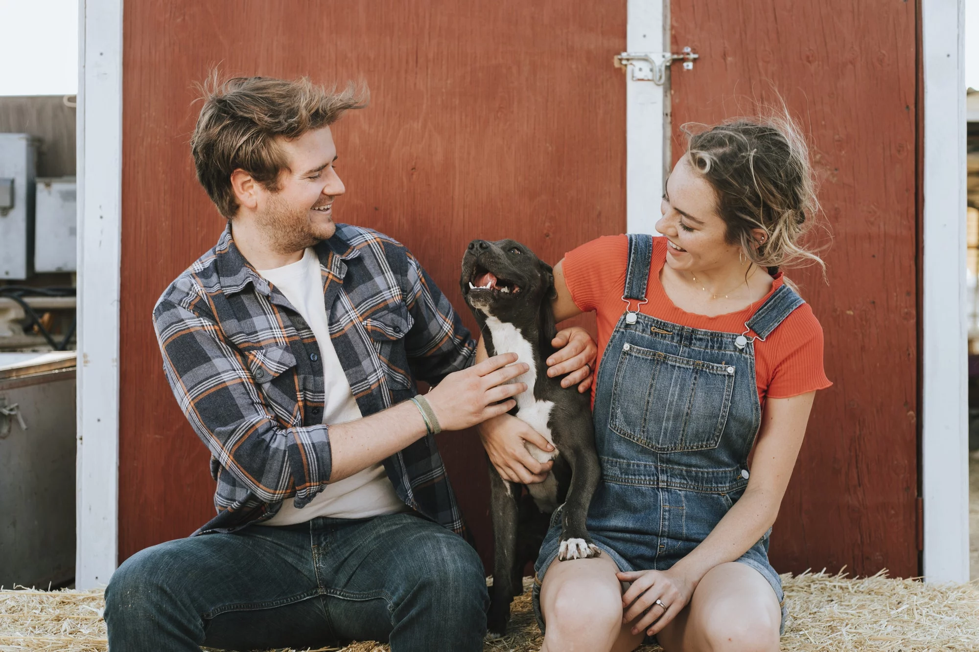 Couple with a rescued pit bull terrier dog