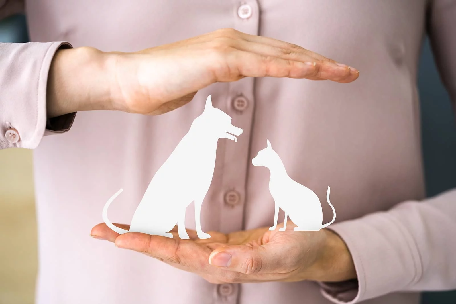 Finding Homeowner's Liability Insurance For Dogs