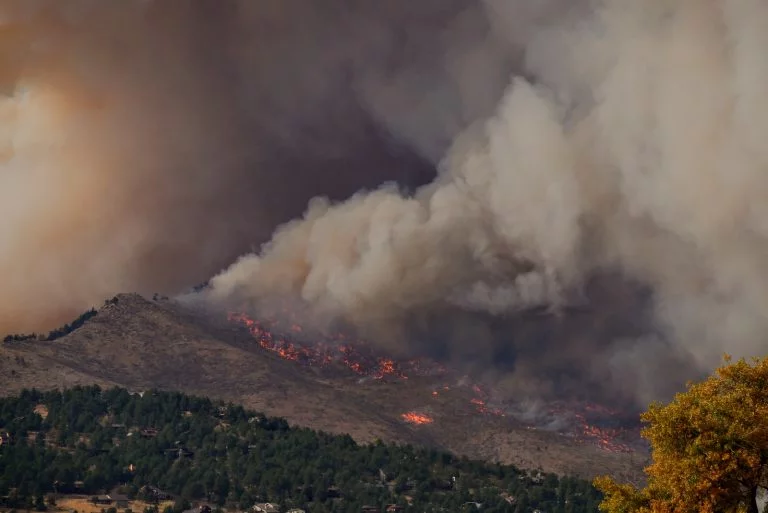 Wildfire Insurance: What You Need To Know