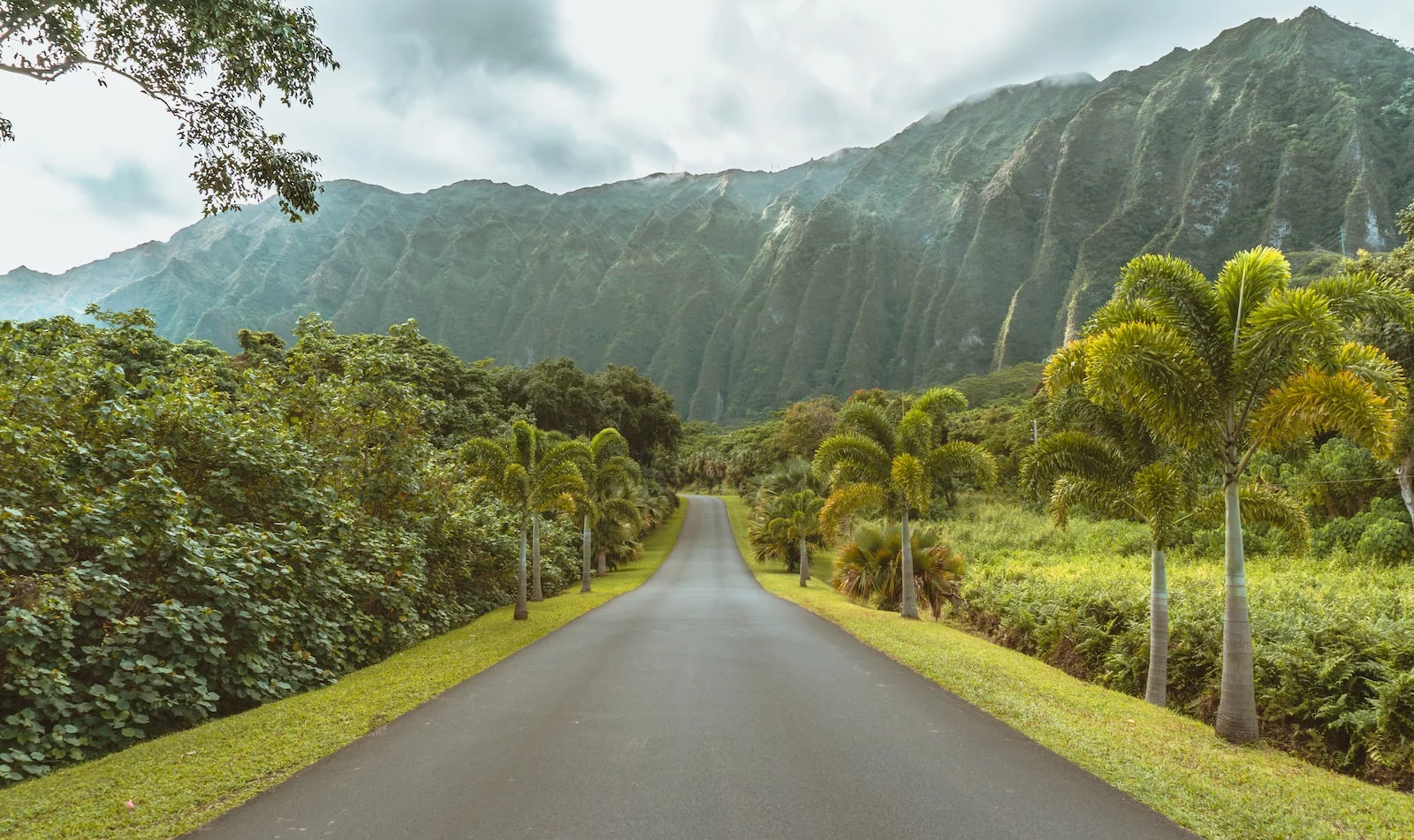 Car Insurance In Hawaii