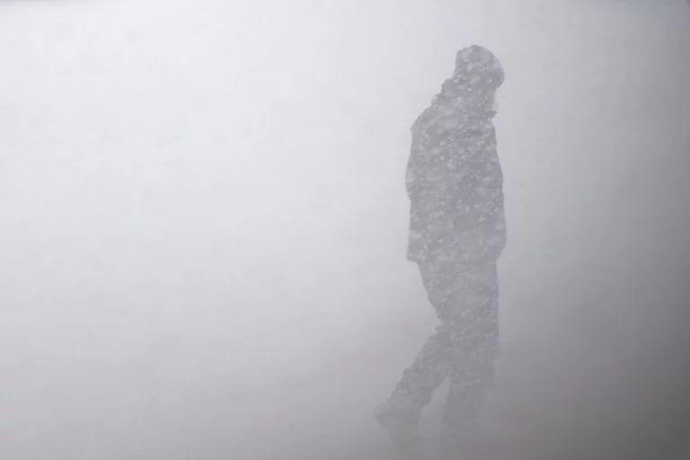 Home Blizzard Preparation: What You Need To Know