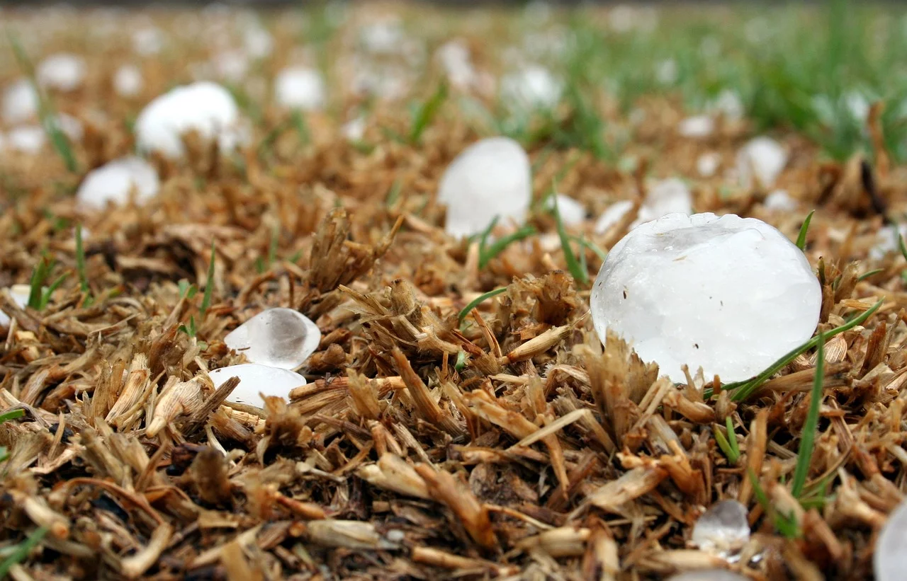 Homeowners Insurance Cover Hail Damage