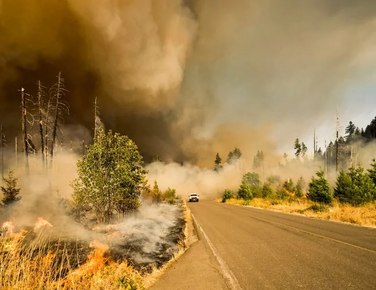 California Wildfire Insurance: What Is It & How Does It Work?