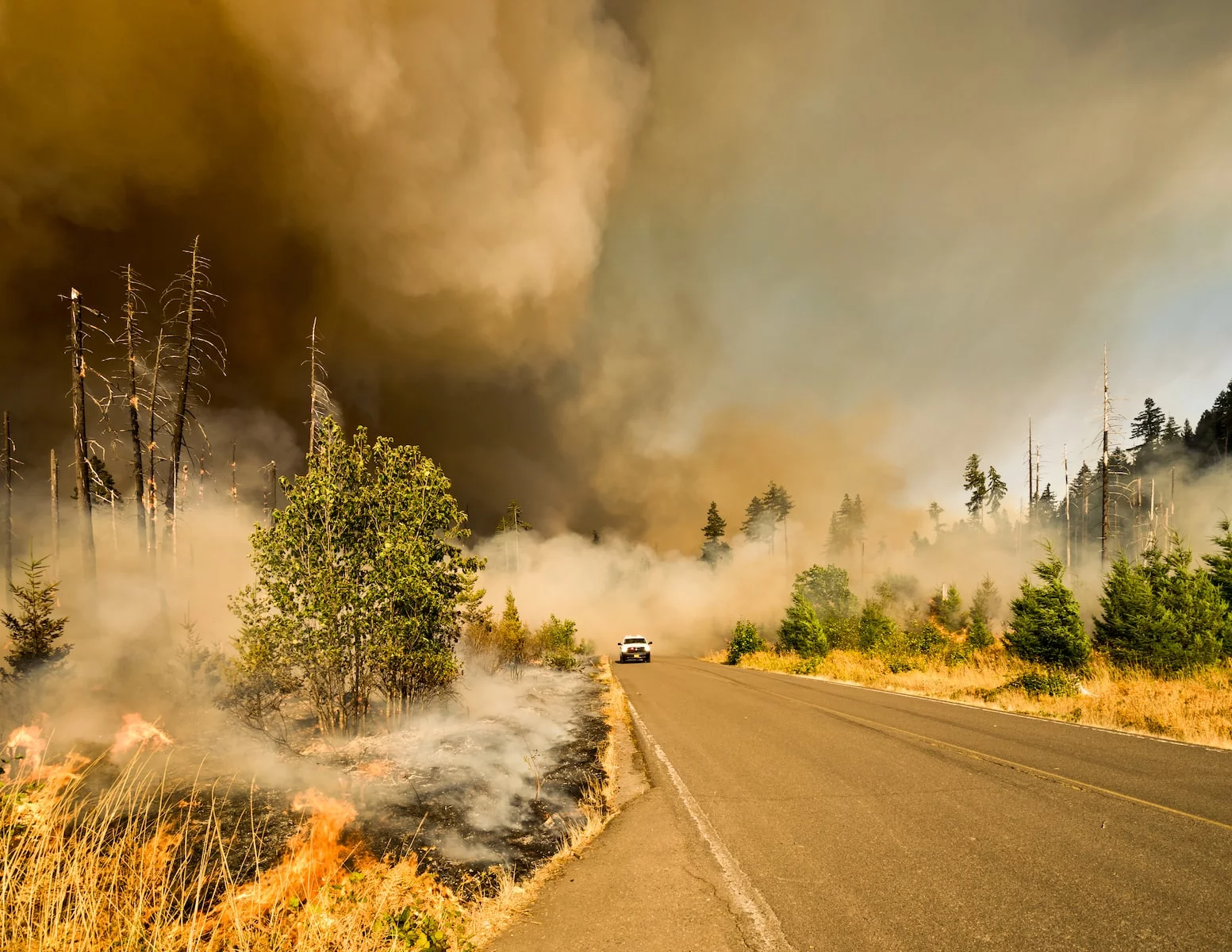 California Wildfire Insurance