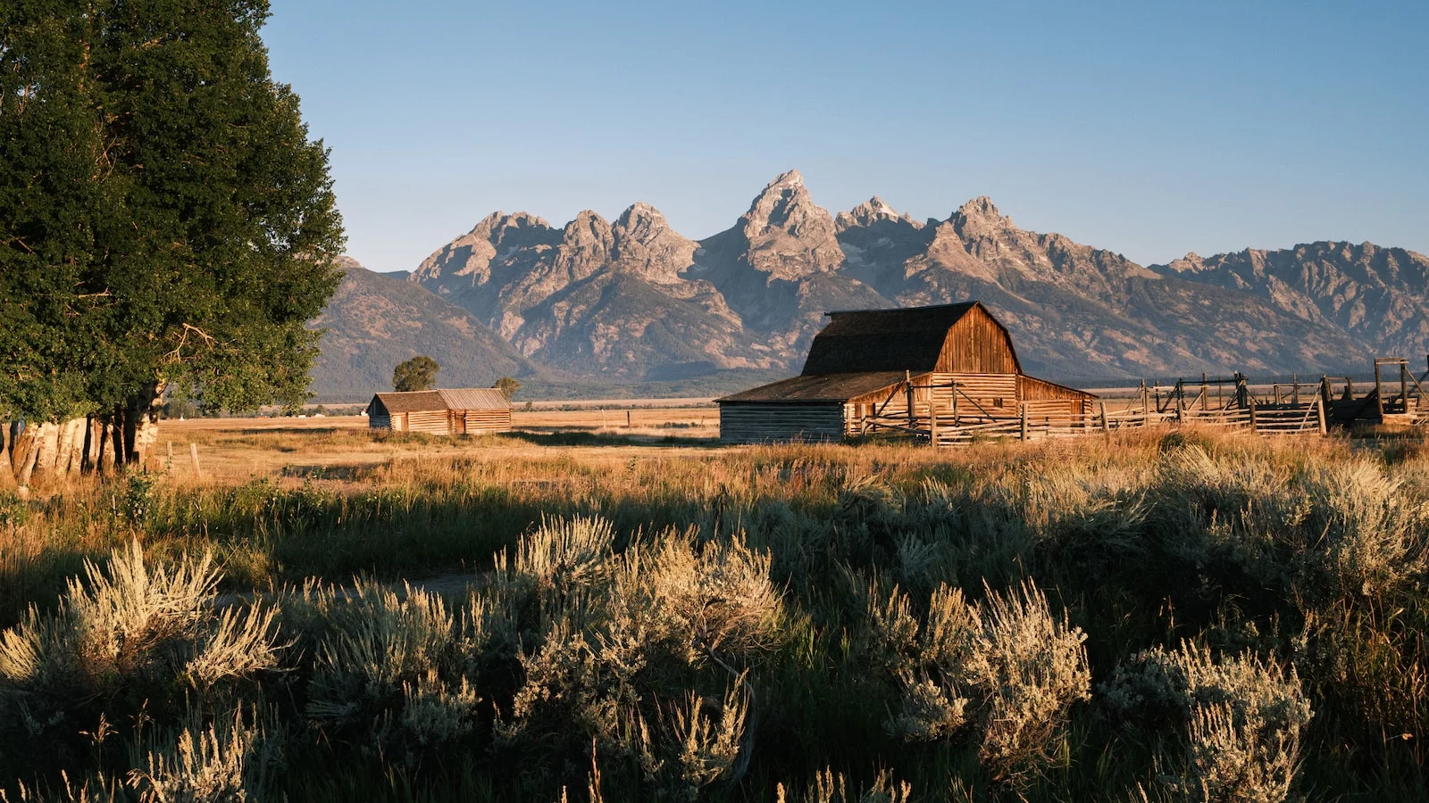 Driving Without Insurance In Wyoming